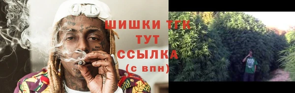 прущий лед Михайловск