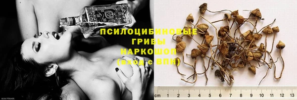 прущий лед Михайлов